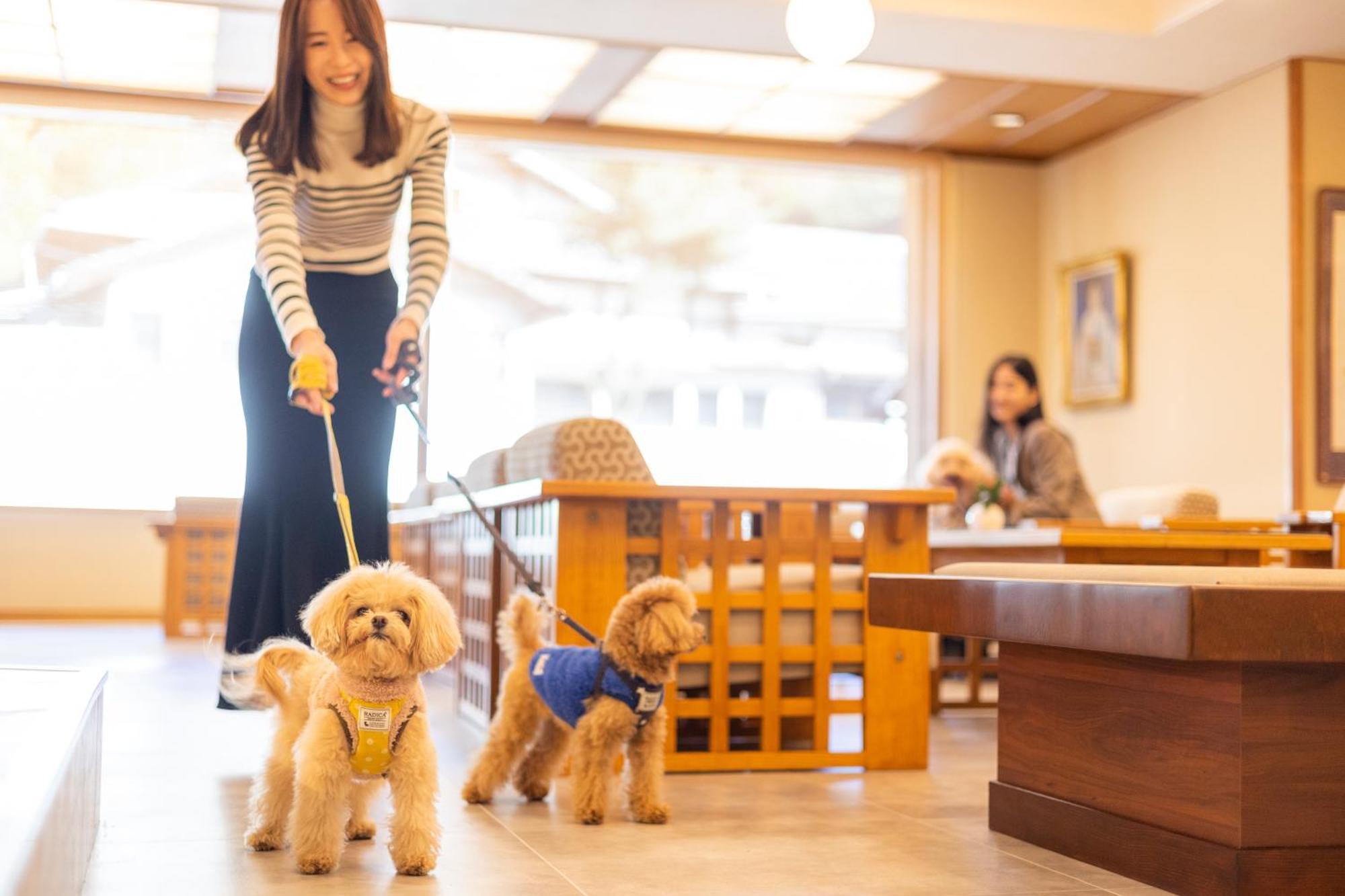 Komatsuya Hachinobou Izunokuni Esterno foto