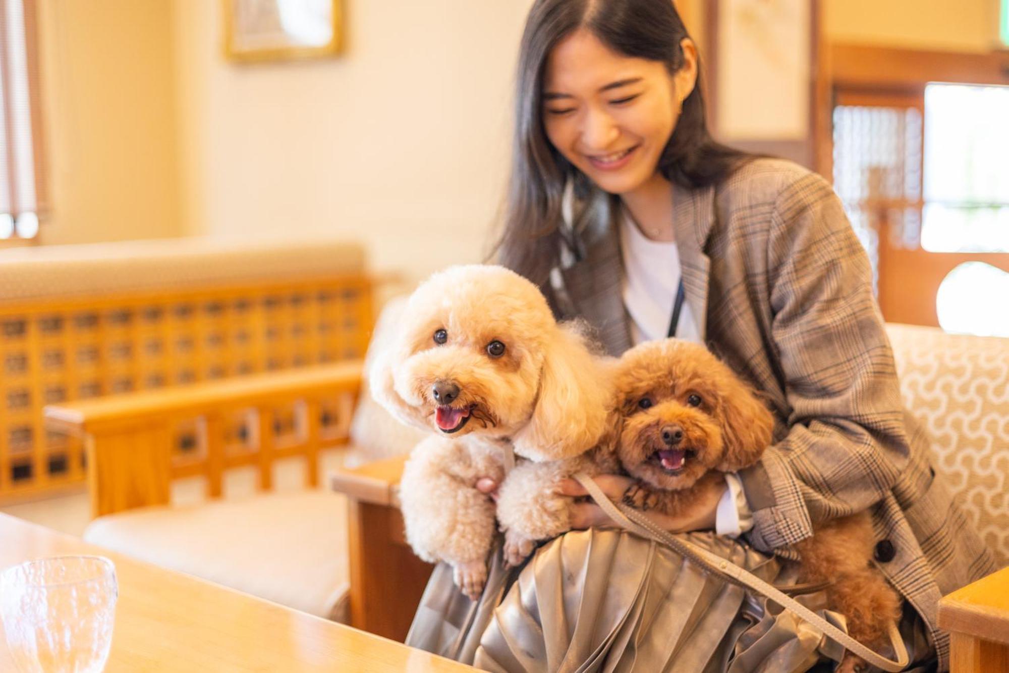 Komatsuya Hachinobou Izunokuni Esterno foto
