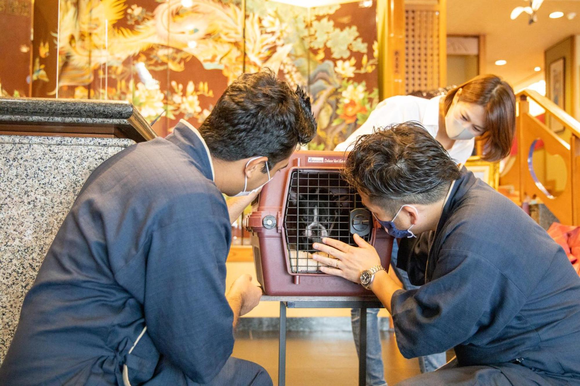 Komatsuya Hachinobou Izunokuni Esterno foto